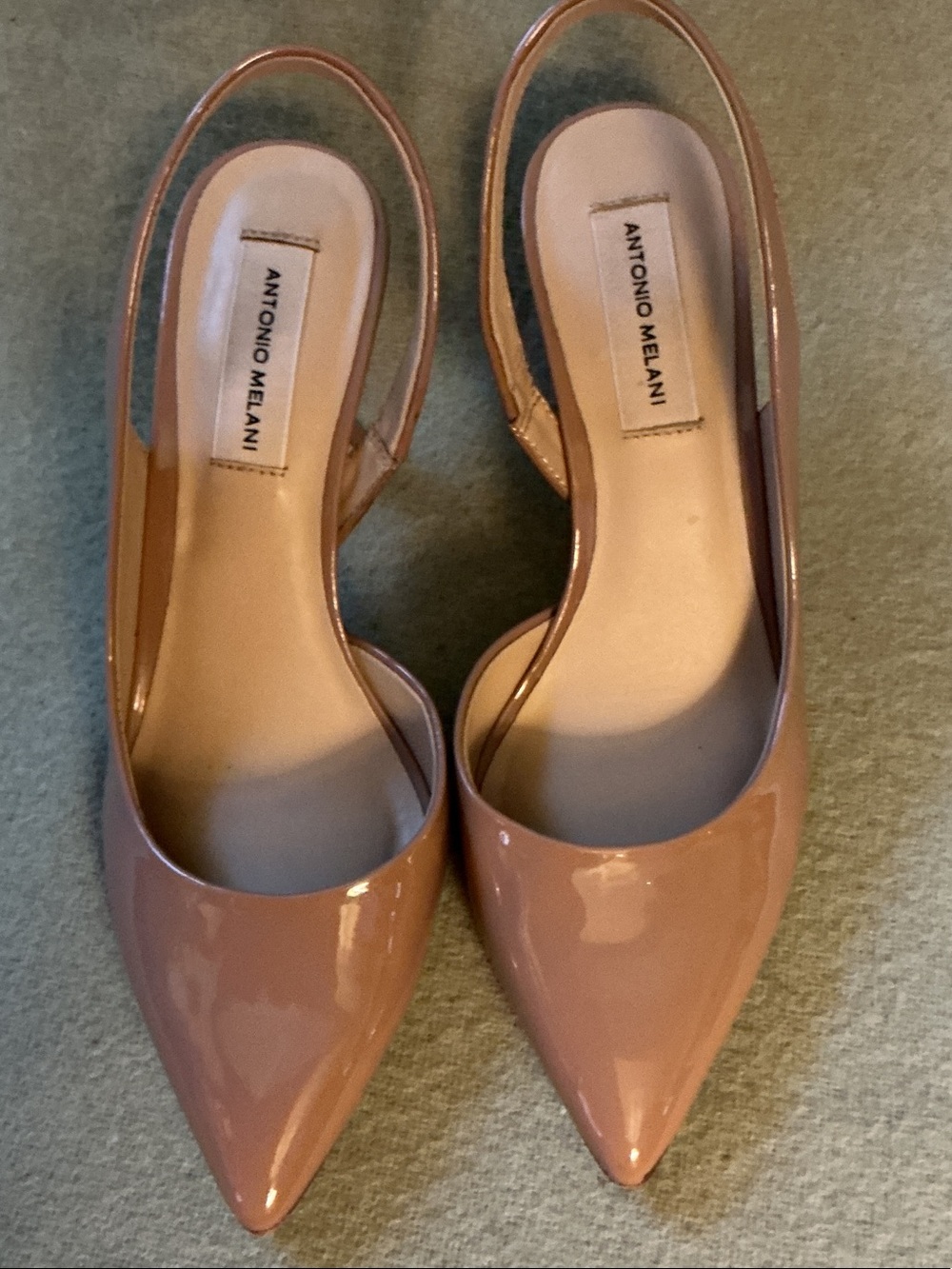 ANTONIO MELANI Nude Patent Pointed-Toe Slingbacks